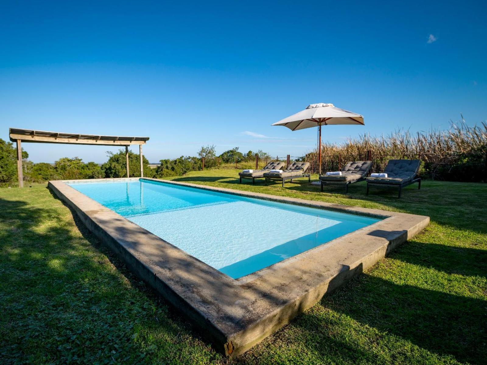 Belle Balance Bush Lodge Plettenberg Bay Esterno foto