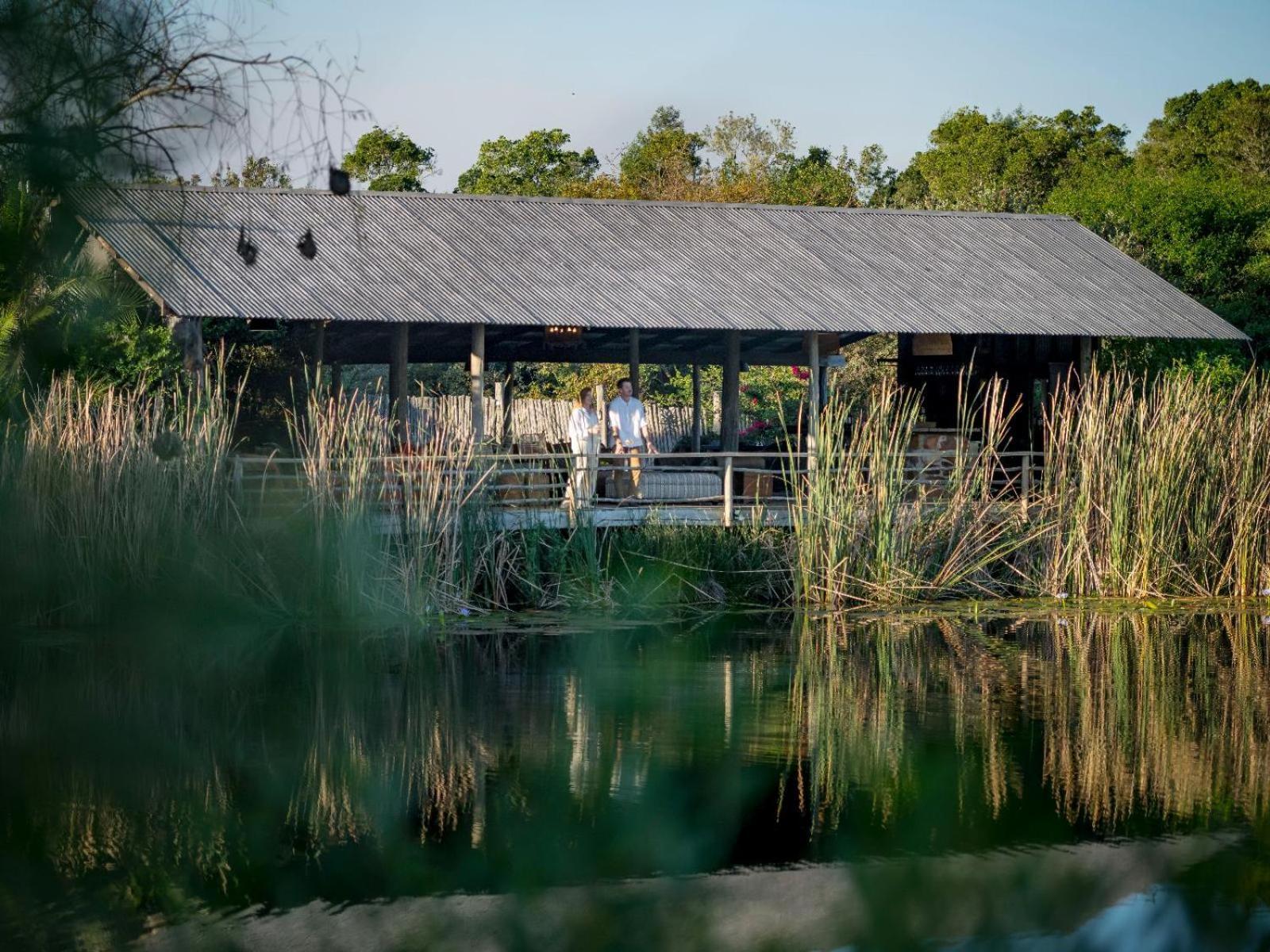 Belle Balance Bush Lodge Plettenberg Bay Esterno foto