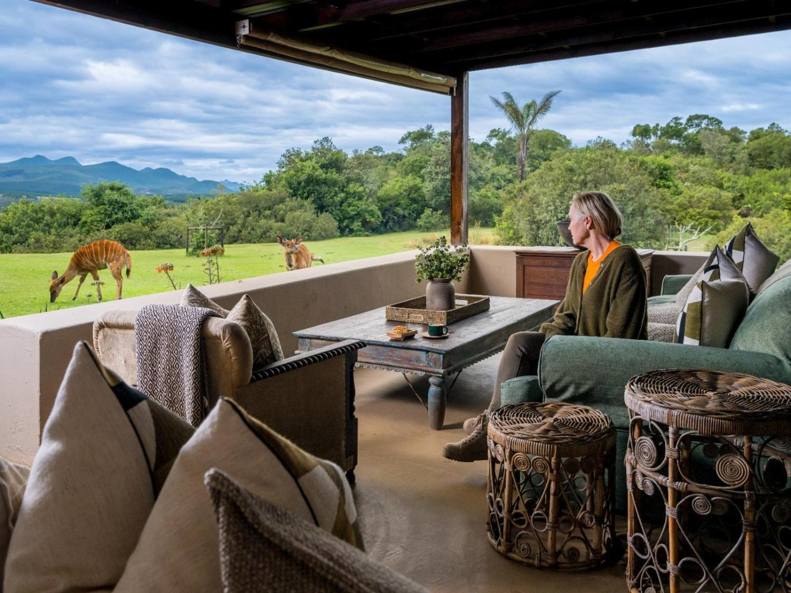 Belle Balance Bush Lodge Plettenberg Bay Esterno foto